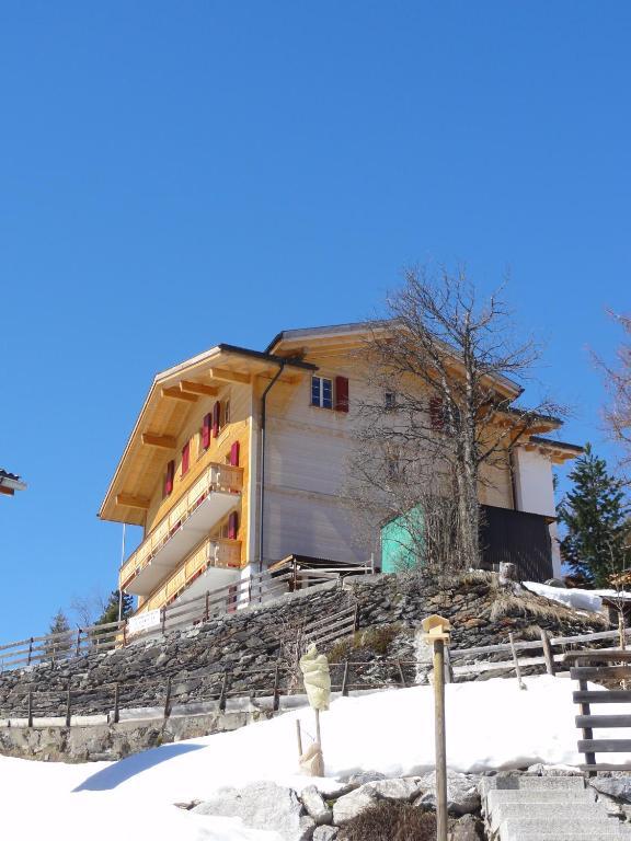Chalet Schoenbuehl Mürren Екстериор снимка