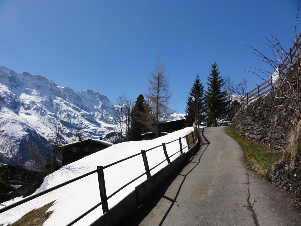 Chalet Schoenbuehl Mürren Екстериор снимка