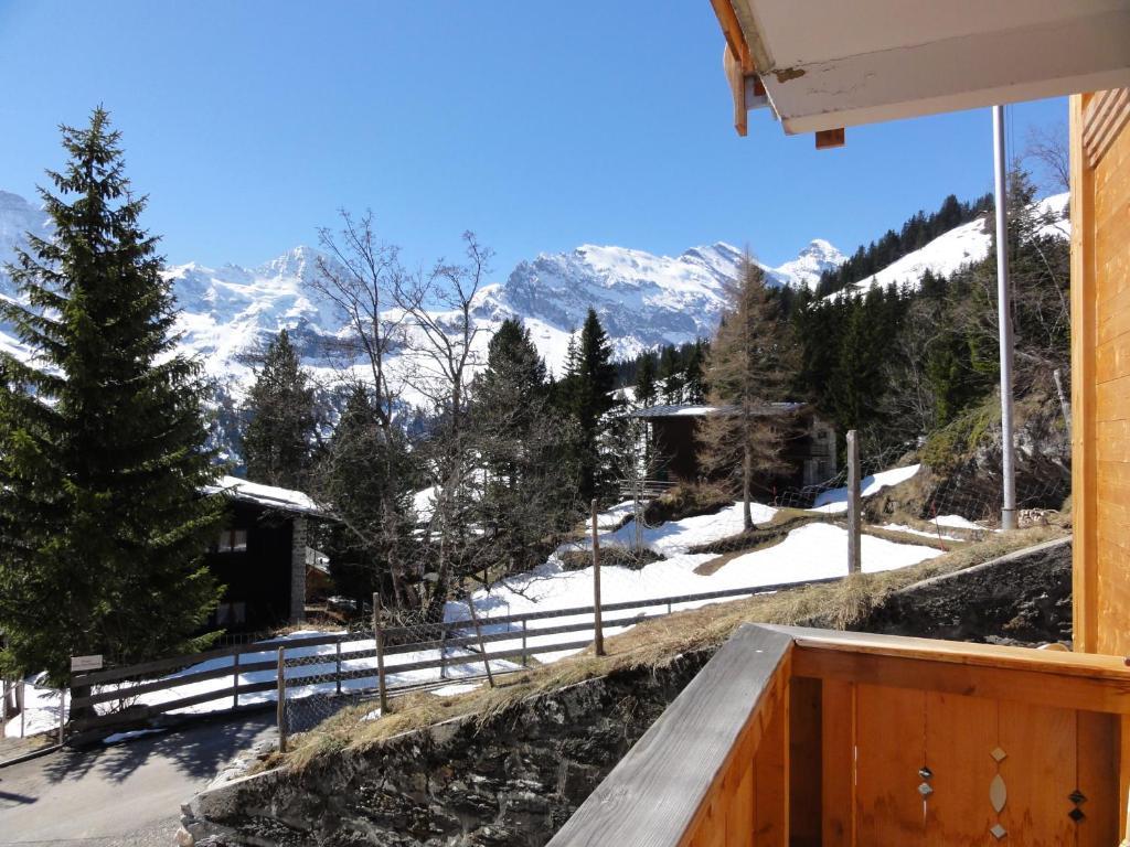 Chalet Schoenbuehl Mürren Екстериор снимка