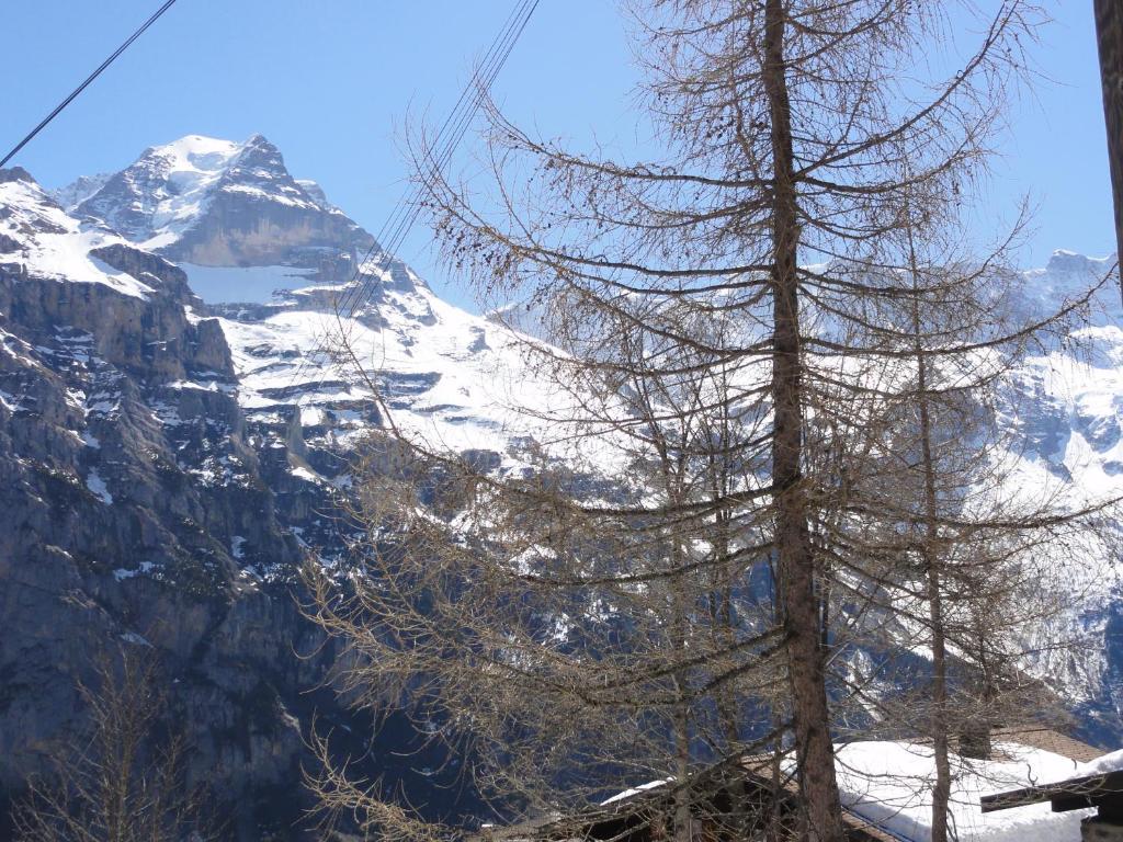 Chalet Schoenbuehl Mürren Екстериор снимка